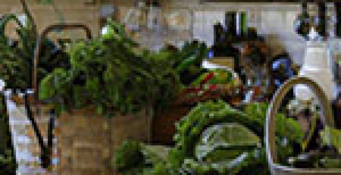 Fine-Tuning Your Indoor Vertical Garden for Maximum Yield and Quality