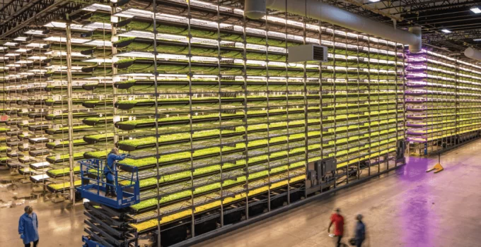 Unlocking the Potential of Indoor Vertical Farming