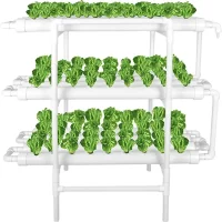 Aeroponics & Hydroponics