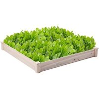 Raised Plant Beds