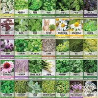 Plants, Seeds & Bulbs