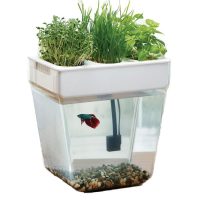 Aquaponics