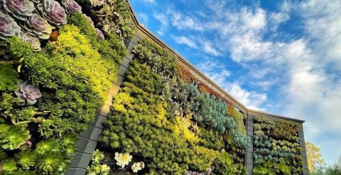 Best Plants for a Vertical Garden in Sunny Locations – A Comprehensive Guide