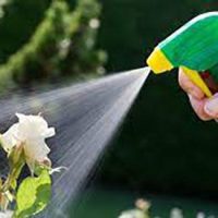 Pest Control for Plants