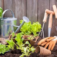 General Farming and Gardening Books