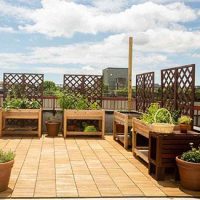 Urban Farming and Container Gardening Books