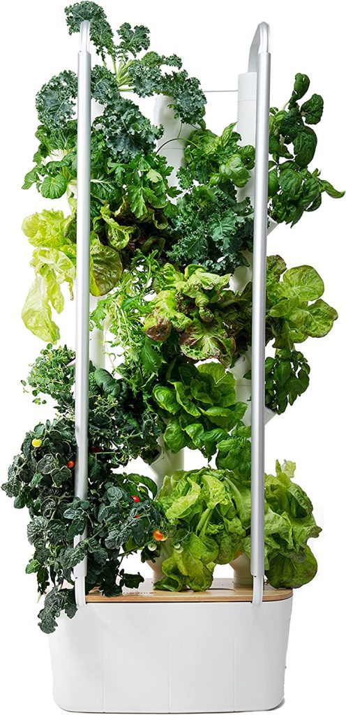 vertical indoor vegetable garden