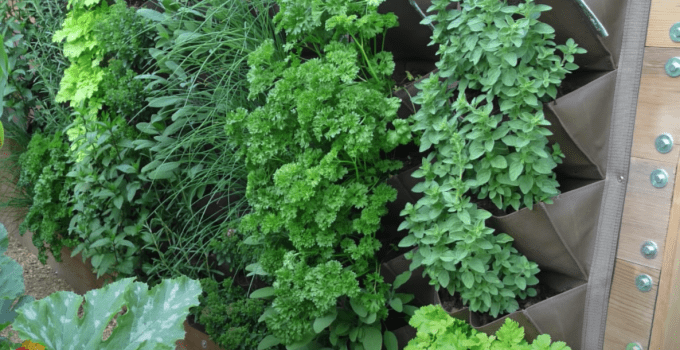 Optimizing Space in a Vertical Hydroponic Garden: A Comprehensive Guide for Hydroponic Enthusiasts