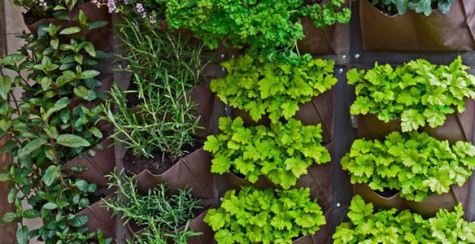 Grow Your Own Fresh Herbs with a Vertical Herb Garden: Tips, Tricks, and Ideas for Indoor Spaces