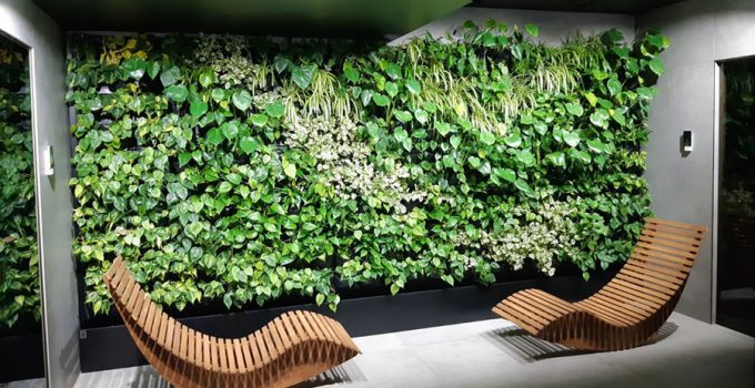 Optimizing Space in a Vertical Wall Garden: A Comprehensive Guide for Hobby Gardeners
