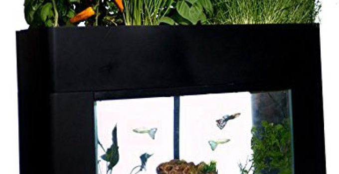 Compact Aquaponics Systems: A Blend of Nature & Innovation for Your Home