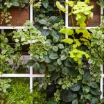 vertical garden