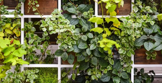 Optimizing Space in a Vertical Hanging Garden: A Comprehensive Guide for Garden Enthusiasts