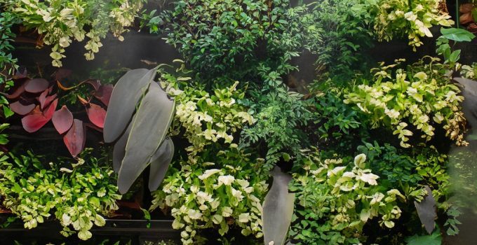 The Top 10 Questions About Indoor Plants and Air Quality, Answered