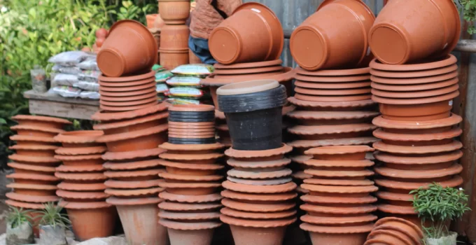 Crop Your Space: An Vertical Indoor Gardener’s Guide to Choosing Containers